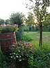 Ton met bloemen in de boomgaart van de boerderij